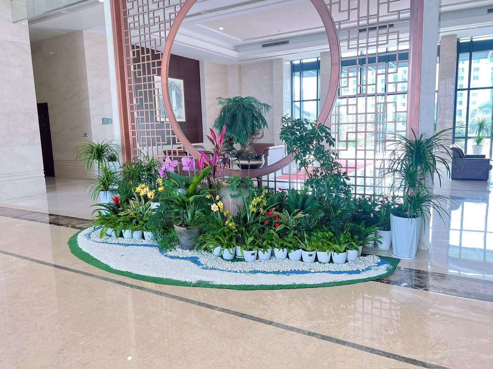 宁波奉化绿植出租